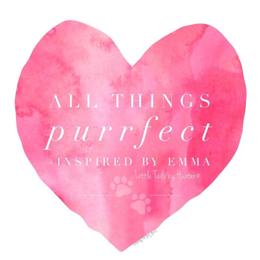All things Purrfect